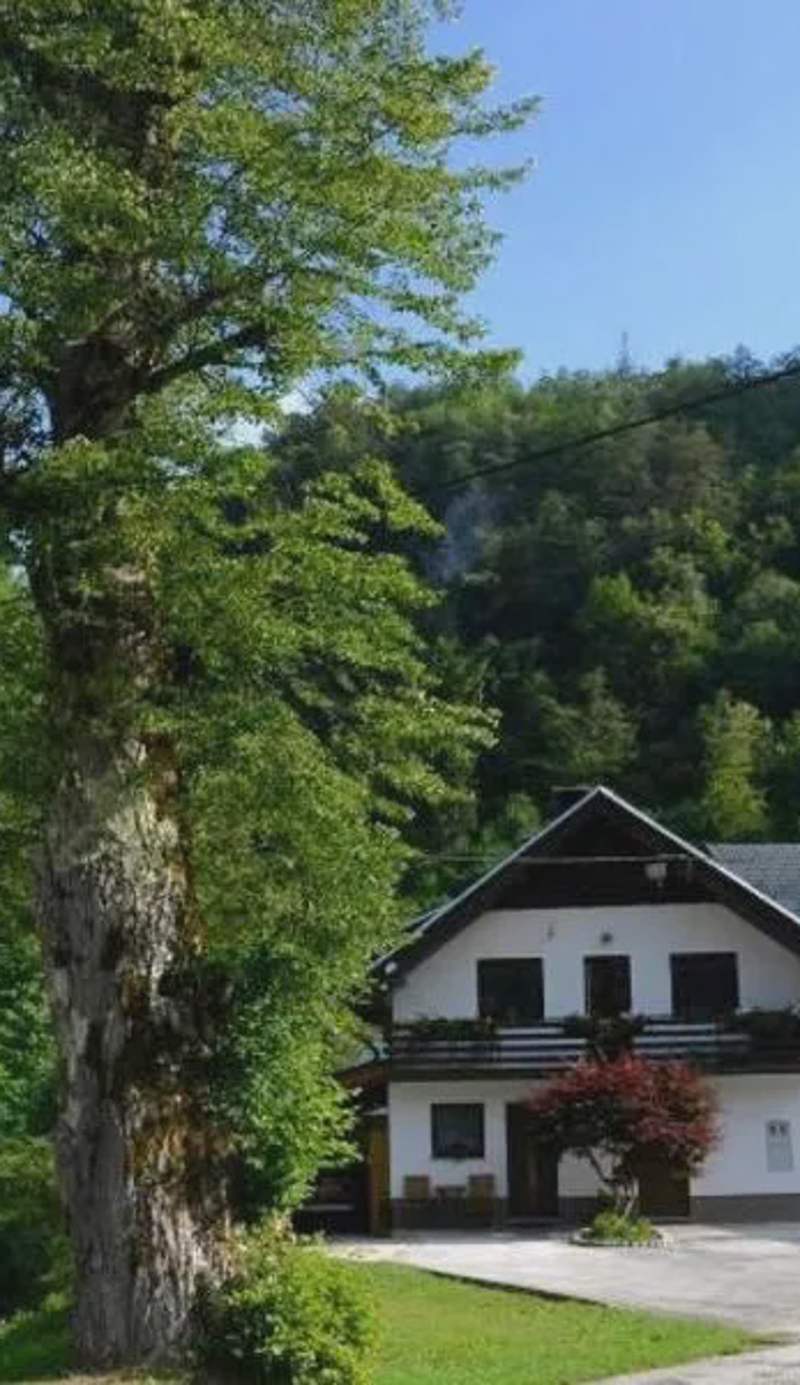 Apartma pri lipi