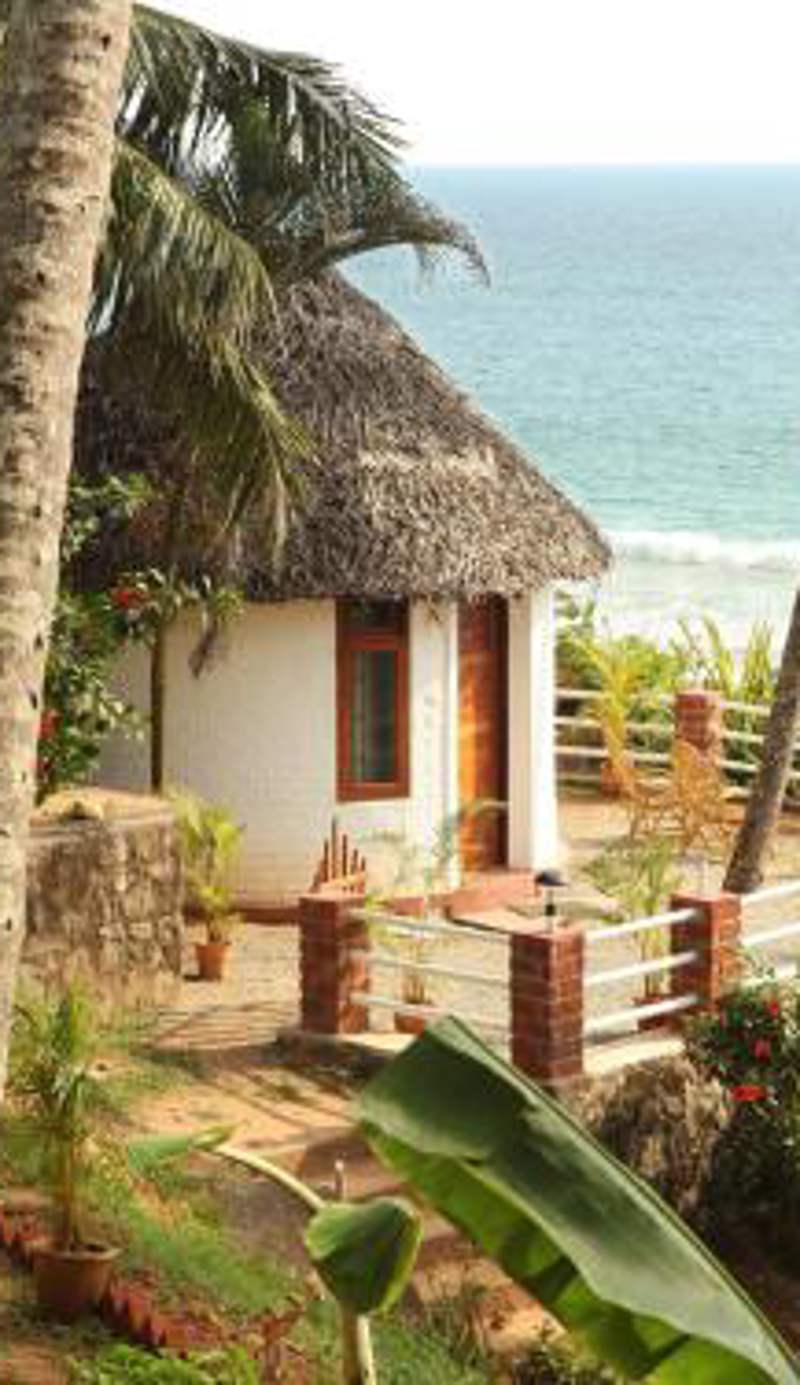 Soma Palmshore