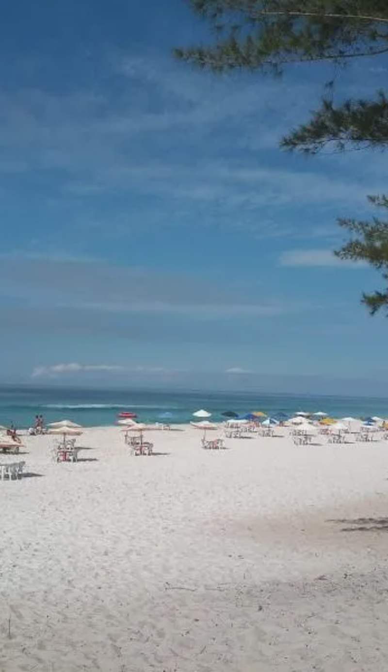 Apartamento aconchegante a 100 metros da praia