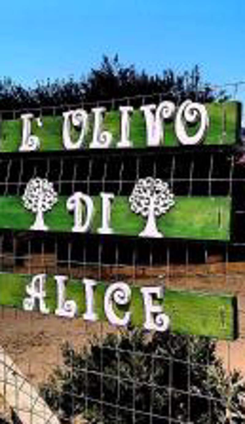 L'ulivo di Alice