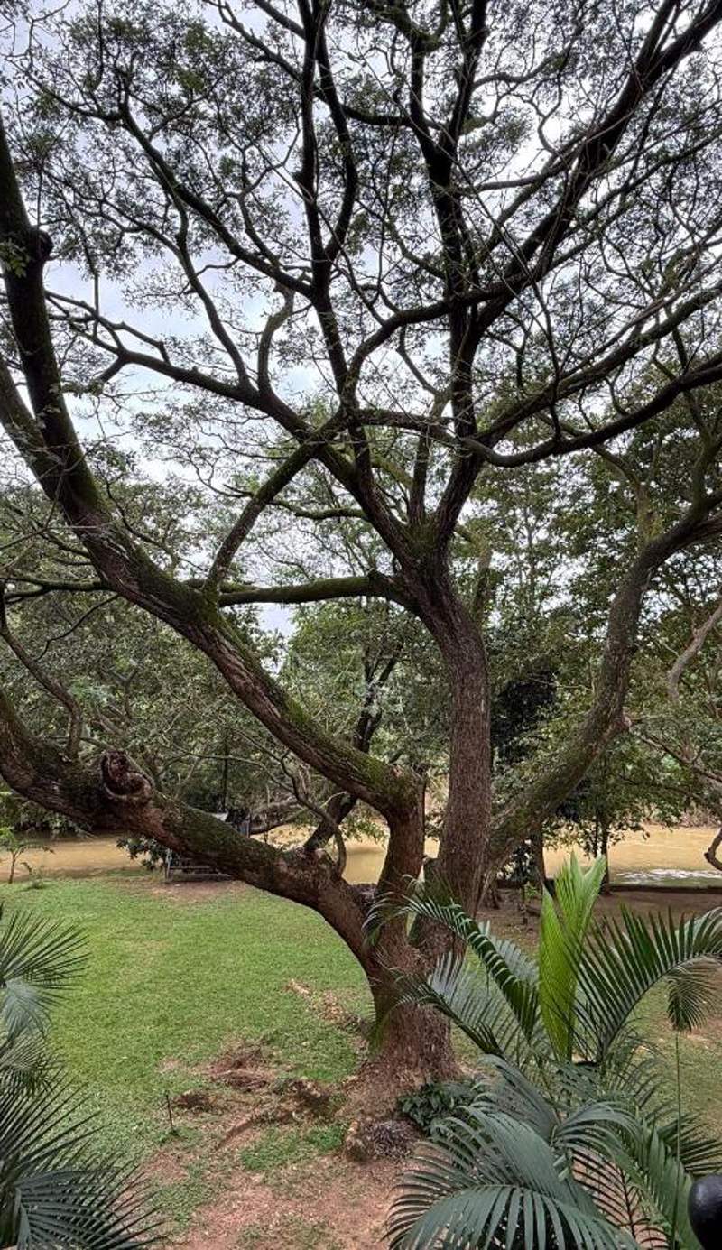 Grand Kalundawa Resort