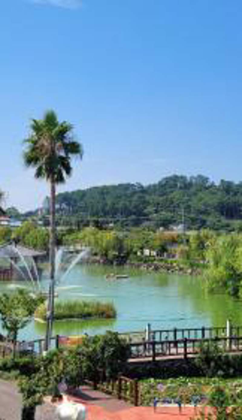 Aewol Yeonhwachon Pension