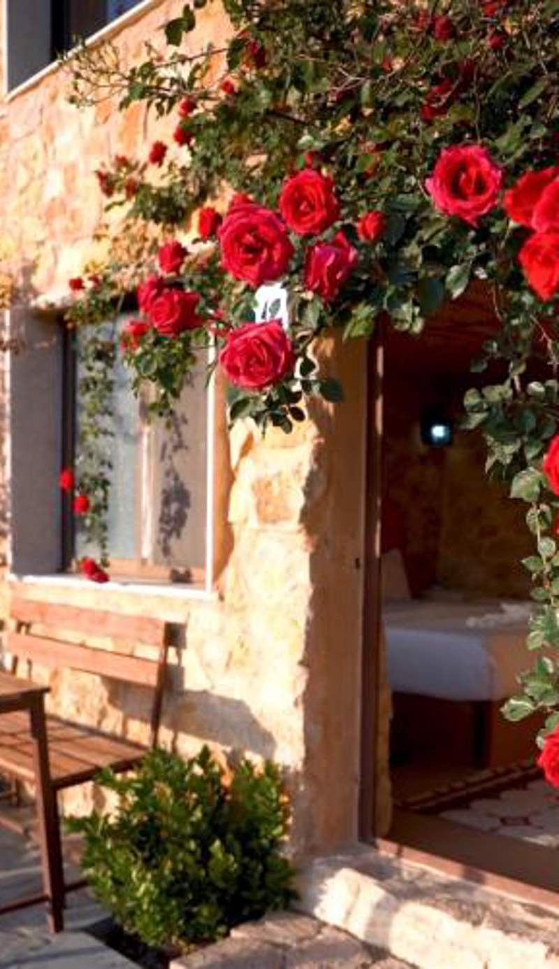 Dana Trail Hotel