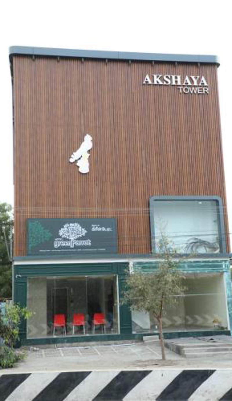 Hotel Green parrot