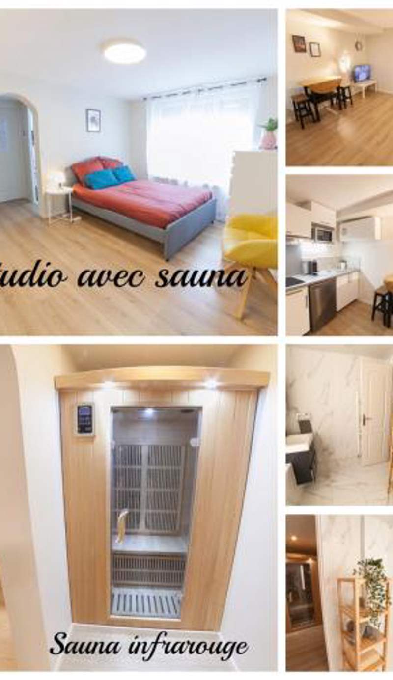 PRESTIGELOC - 3 Studios au Choix - 2 avec Sauna privé gratuit, 1 avec 3 Couchages, Centre-ville