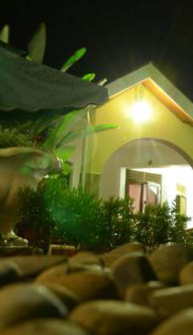 Sheevy"s Bed N Breakfast