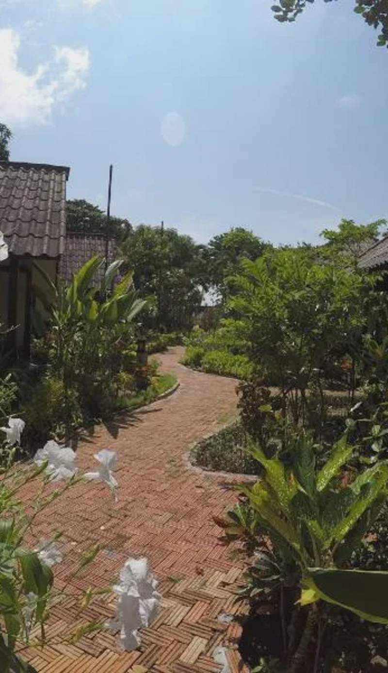 OP Bungalow
