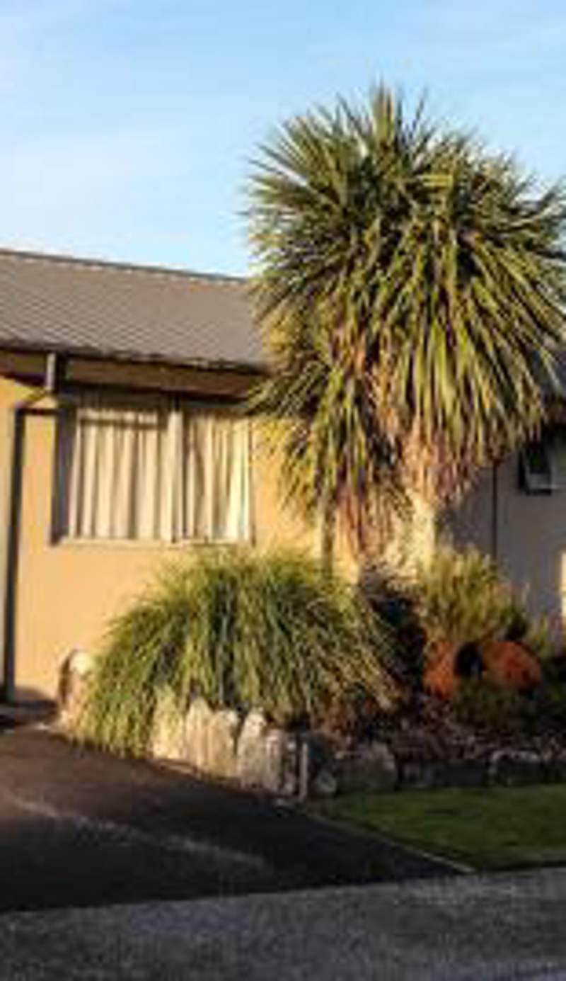 Annabelle Motel