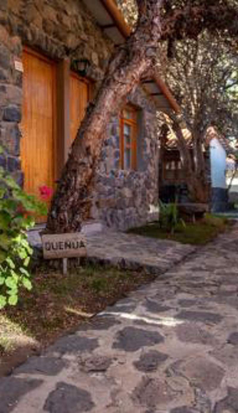 Casa Andina Standard Colca