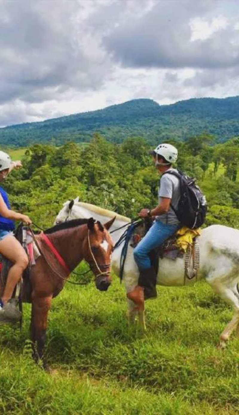 Posada Río Celeste La Amistad