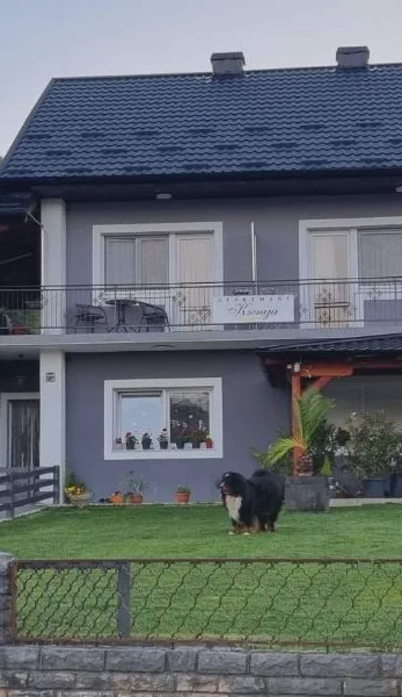 APARTMANI KSENIJA