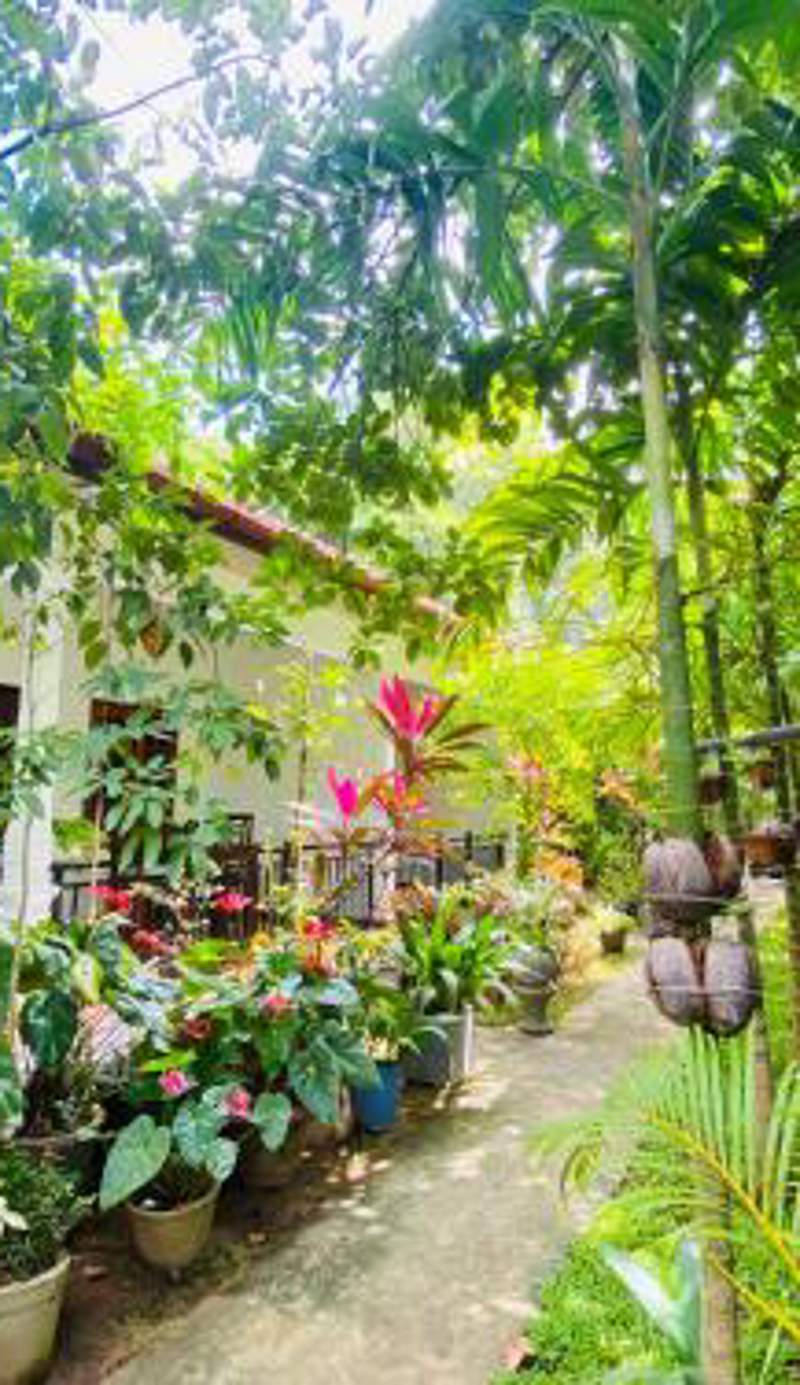 Priyavimana resort