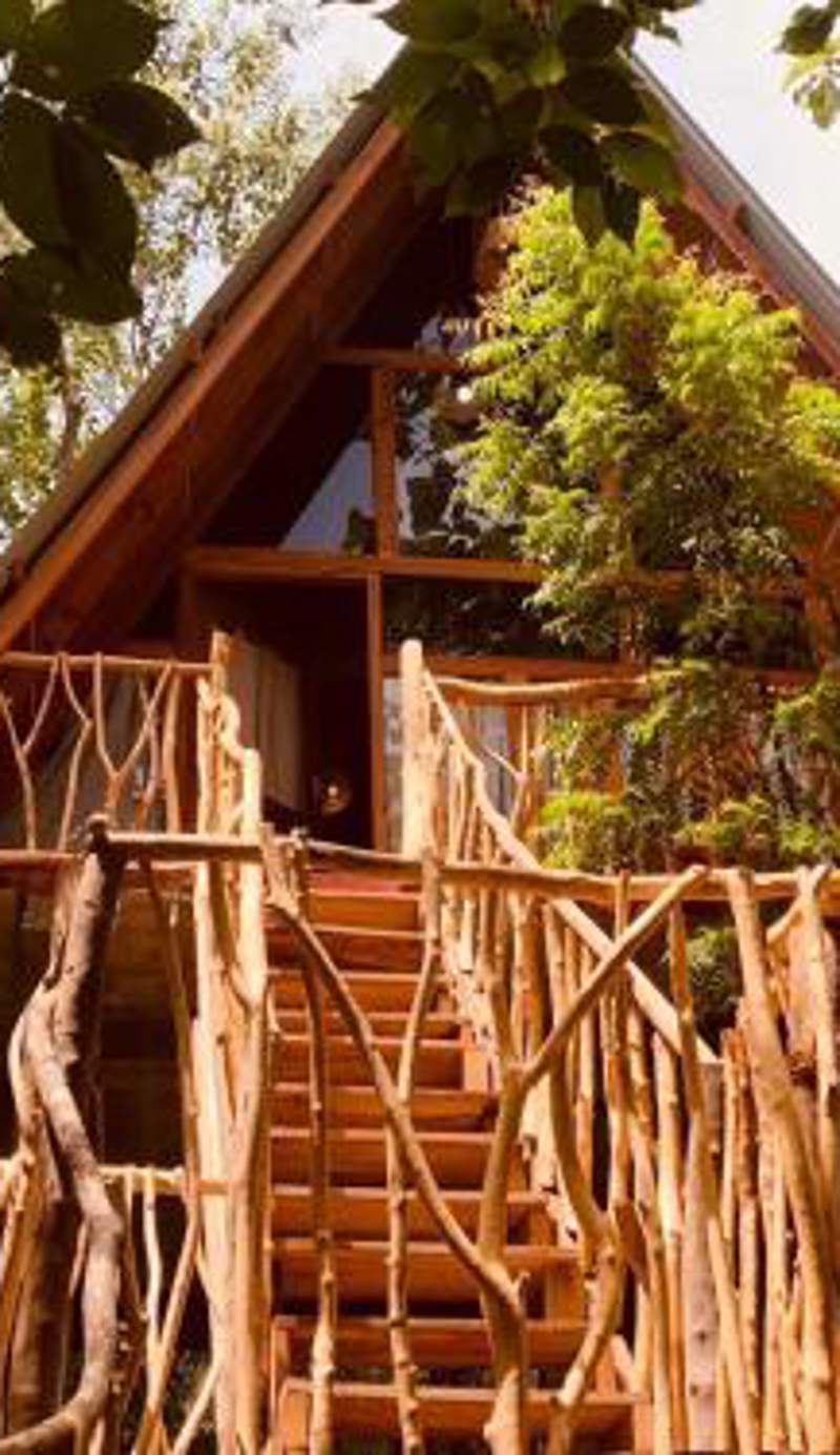 Angry Birds Tree house new cabana