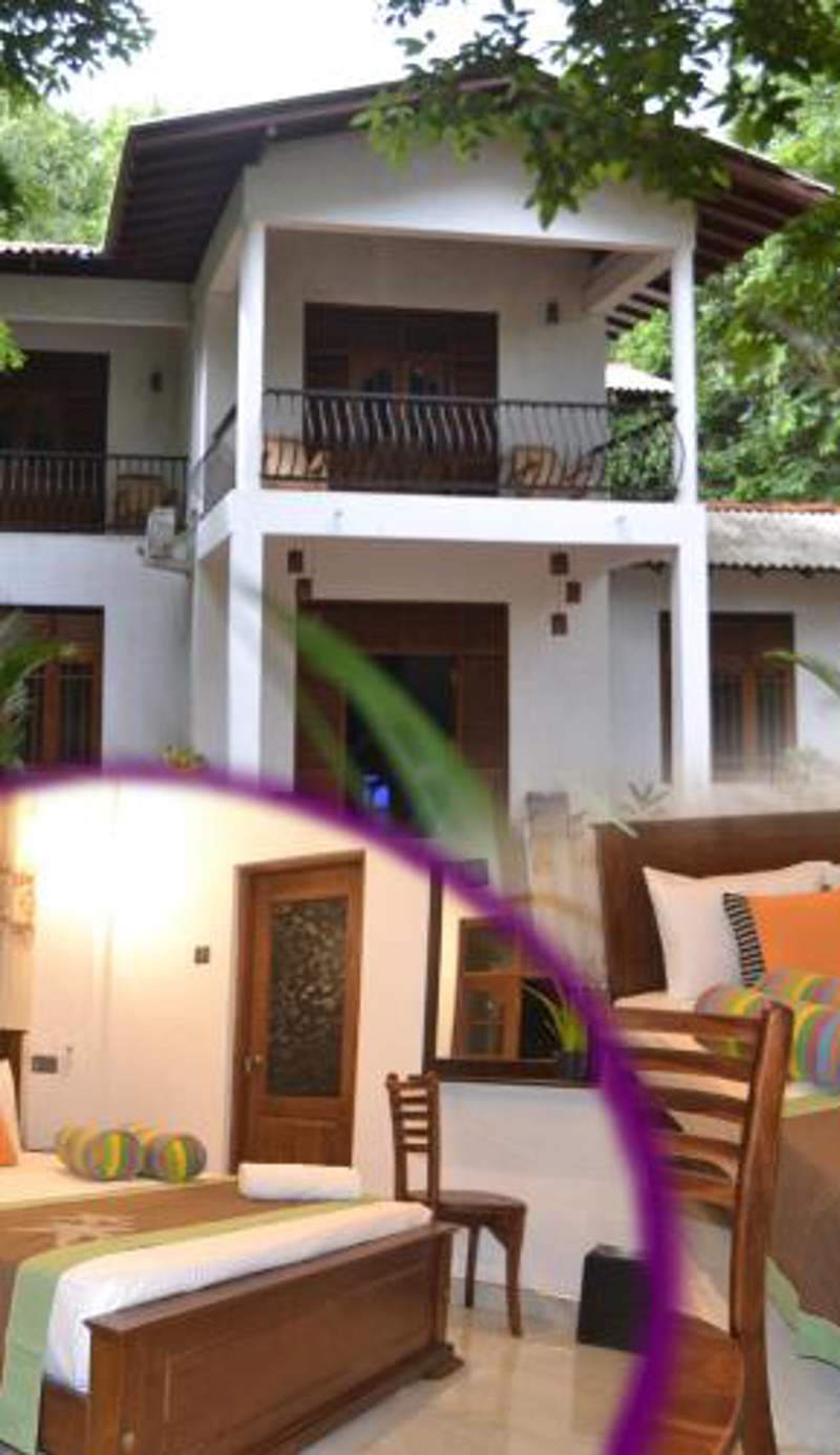 Nice To Meet Home Stay