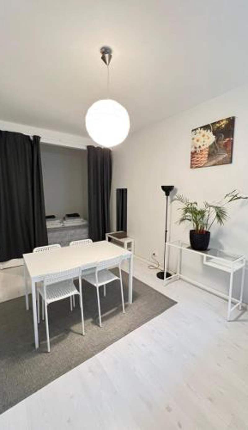Moderni siisti Studio koti jossa modernit kalusteet